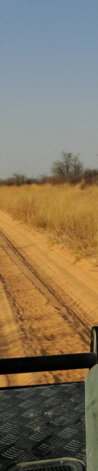 Erlebe das «Out of Africa»-Gefühl